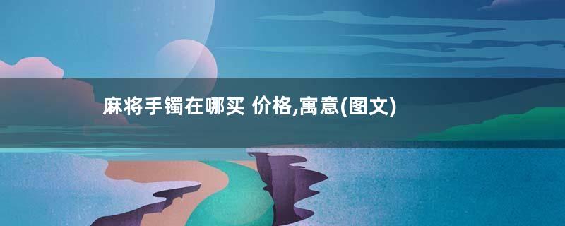 麻将手镯在哪买 价格,寓意(图文)